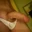 Barichello40