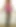 nylonguy_cd