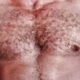mrbearbit