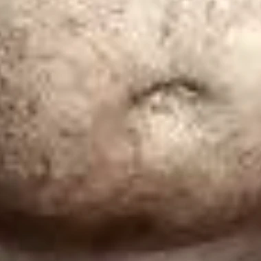 Leibi