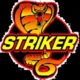 xxxStrikerxxx