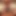 FuckTributes