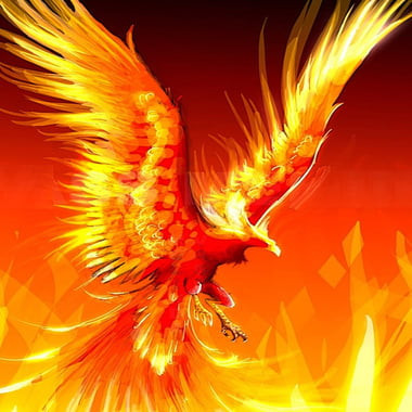 TheFenix97