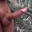 pervert4fun
