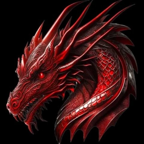 dragon107