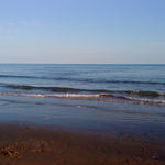 mafri