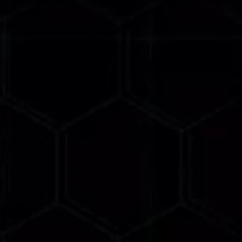 Rober_1256
