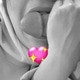 ukhti_ttx