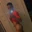 Nikkiwashere