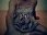 martinetv16