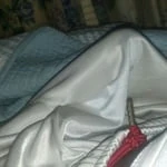 southga_bbc229