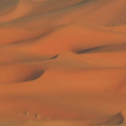 Kamalsaharaian