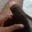 sagar2712