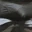 FastenedKnee8