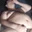 Gordito33pig