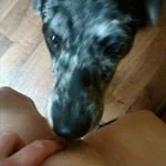 southerndoggygirl