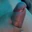 GayLord1072