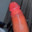 Shivam0775