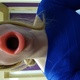 Lady-Lija