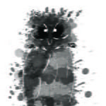 blackshifu