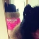 FurSquirt