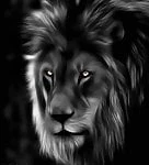 leon323