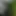dominiquenylon