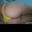 Simpsxxx