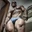 Alex69muscle