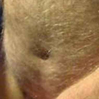 Bearlovegay