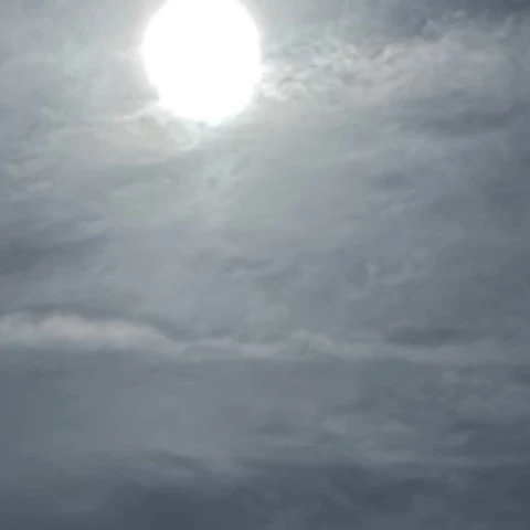 PetiteAmbientMatch83