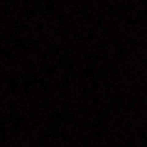 pizo1