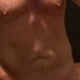 Anselwoods