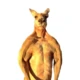 Lhrkangaroo