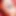 flashcoupl