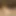 Furlovet0629