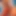 Nesh131