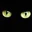 catnegro