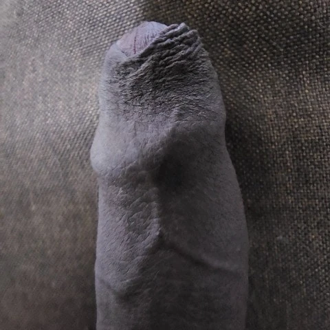 Molehead26