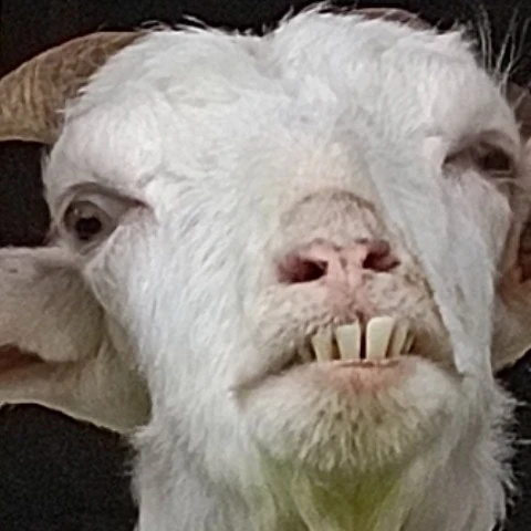 MrBenBenBen
