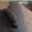 Wilson94haitian1
