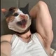 Aaron Sin