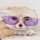 user122