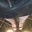 Sabine96_DWT