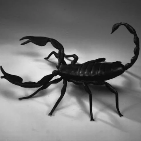 textscorpion