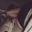 Southyoungirl_
