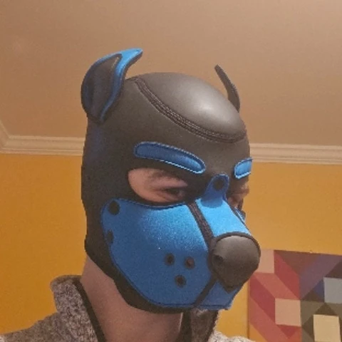 Friskypup6907