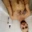 Cyborgsex88