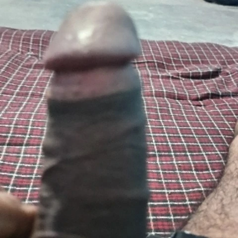 TicklingKit575
