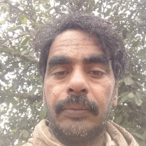 Shahnawazjutt